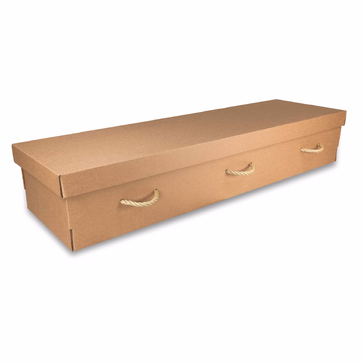 Cardboard Coffin – Rectangular – main view