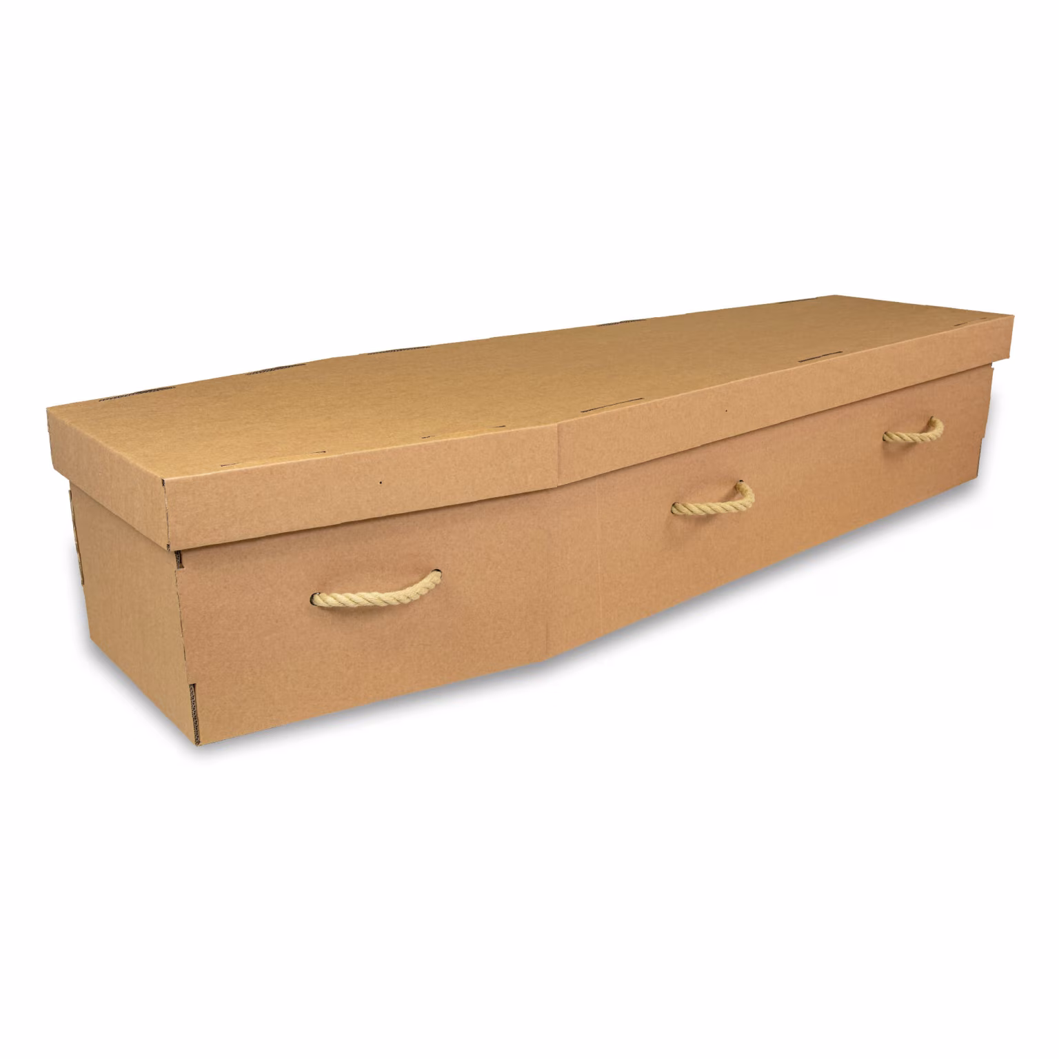 Cardboard Coffin – Traditional Tapered – main view